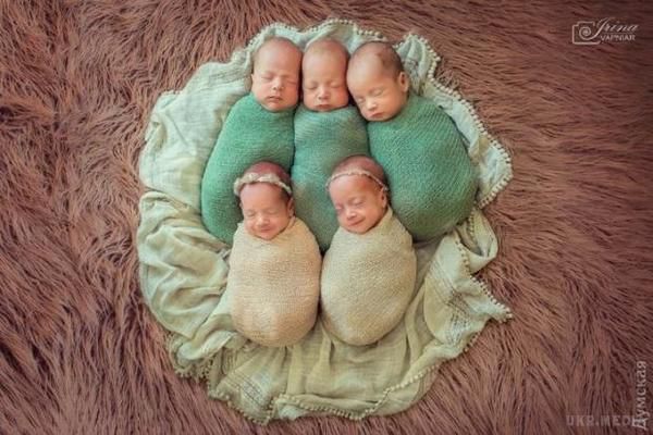 Немовлята-п'ятерняшки з Одеси знялися у своїй першій фотосесії.(фото, відео). Три брати та дві сестрички народилися у Оксани Кобелецької 24 червня.