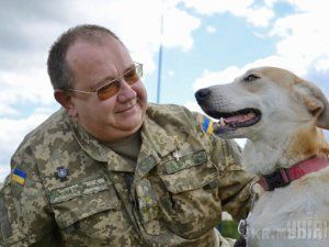 Полковник Стеблюк: на Донбасі проти сил АТО використовували всі види зброї, крім авіації. Ми володіємо унікальним досвідом, якого немає у зарубіжних лікарів, каже медик.