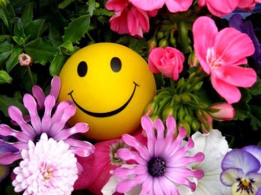 Посміхніться новому дню. Для гарного настрою анекдоти на сьогодні 19 вересня 2016. Для гарного настрою анекдоти на сьогодні 19 вересня 2016.