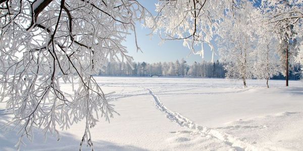 Народний синоптик розповів, якою буде зима в Україні - сніги і морози. Фахівець  вважає, що зима 2016-2017 буде повторенням зими 1985 року, яка була дуже холодною і сніжною.