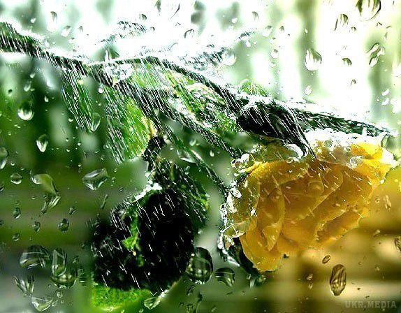 Прогноз погоди в Україні на сьогодні 25 вересня 2016. По всій Україні пройдуть дощі з грозами.