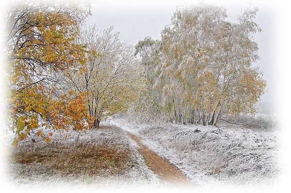 Де піде сніг: в Україну йде різке похолодання. Гідрометцентр попередив українців про різке погіршення погоди.