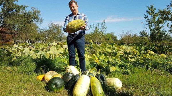 Як відпочивають українські політики (фото). Юрій Луценко обожнює "тихе полювання", Пашинський полюбляє ловити рибу, а Ляшко збирає власний врожай