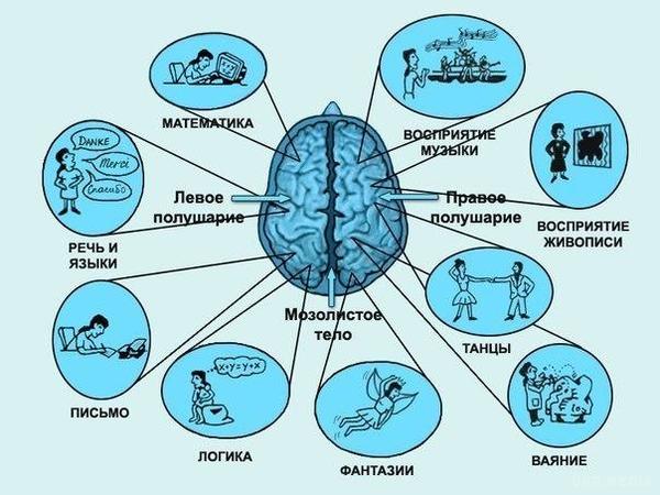 Як поліпшити пам'ять: ТОП-4 найкращих способів. На сьогоднішній день середньостатистична сучасна людина просто тоне в потоці інформації, дуже часто – абсолютно їй не потрібної. В підсумку наша пам'ять затирається, зношується і обростає мохом. Але як поліпшити пам'ять простими способами? Вихід є.