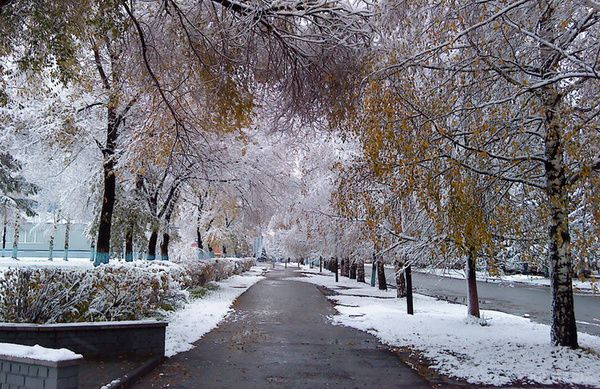 Синоптики розповіли, яким буде листопад. Майбутній місяць в Україні буде досить теплим, але дощовим.