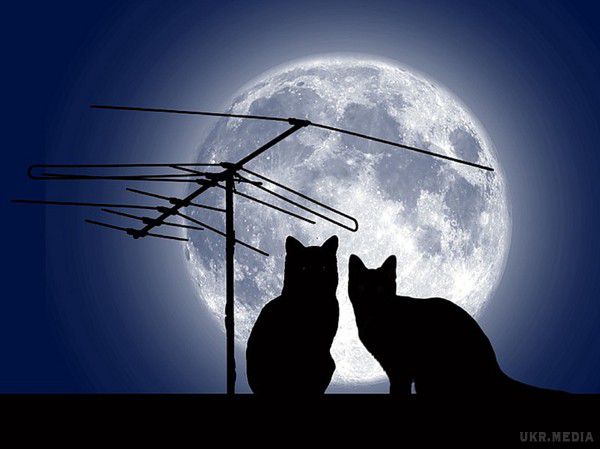 Українці зможуть побачити Місяць-"велетень". В ніч на 14 листопада мешканці північної півкулі планети зможуть побачити досить рідкісне явище - "супермісяць"