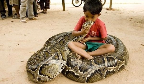 Знайдена наймініатюрніша змія у світі (відео)
