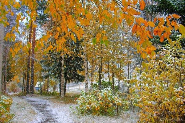 Прогноз погоди в Україні на сьогодні 13 листопада 2016: переважно дощі з мокрим снігом. По всій країні очікуються дощі з мокрим снігом.
