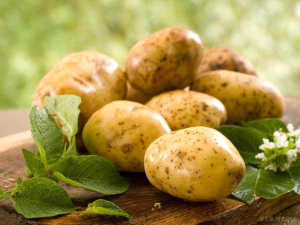 Ці продукти можна їсти на ніч, не побоюючись погладшати.  Так само під час сну досить активно діляться клітини шкіри, волосся і нігтів. 