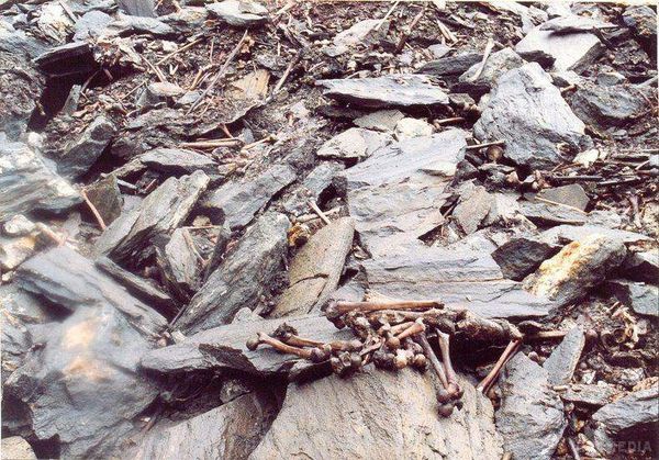 Таємницю моторошного Озера скелетів у Гімалаях розгадали вчені (фото). У Гімалаях вчені знайшли загадкове, а, може, і найстрашніше місце на Землі. Цей географічний об'єкт називають озером Роопкунд, або Озером скелетів.