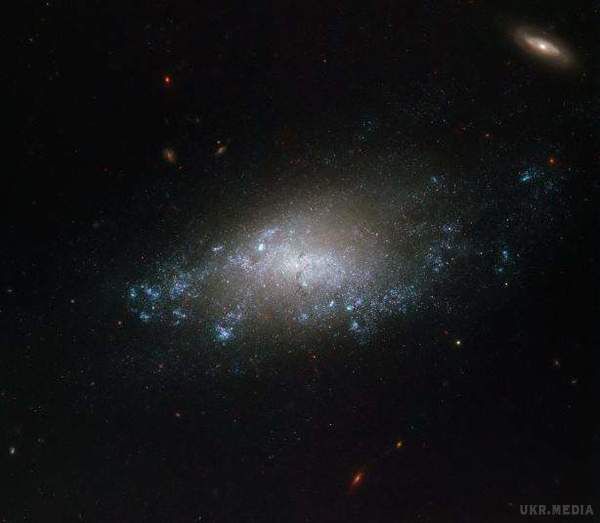 Астрономи показали фото, яке зачаровує галактику з сузір'я Лева. NGC 3274 розташовується на відстані 20 мільйонів світлових років від Землі.