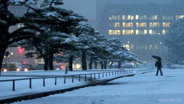 Аномальний снігопад накрив Токіо вперше за 54 роки: найкращі фото з Instagram. У японській столиці – місті Токіо – вперше за 54 роки випав сніг в листопаді.
