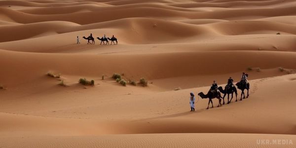 Розкрита таємниця пустелі Сахари. Африканський пил розповів, чому Сахара стала пустелею.