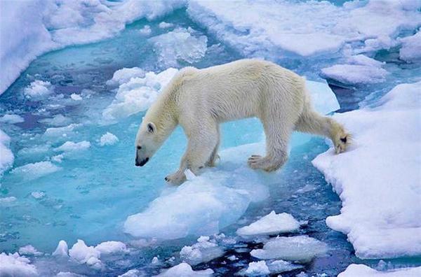На Північному полюсі температура б'є всі рекорди. Температура повітря над арктичними льодами на 9-12 градусів перевищила кліматичну норму для цього регіону, свідчать дані Данського метеорологічного інституту.