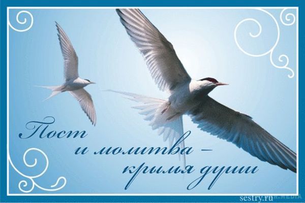 Як було встановлено Різдвяний піст - початок 28 листопада. Встановлення Різдвяного посту, як і інших багатоденних постів, відноситься до стародавніх часів християнства. 