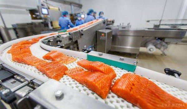 Токсиколог: «Лосось — найбільш токсична їжа в усьому світі». Протягом декількох місяців французькі журналісти Ніколя Даніель і Луї де Барбейрак вивчали рибну індустрію зсередини. 