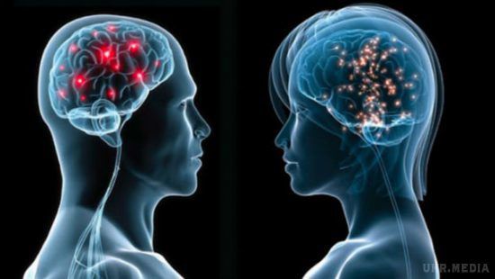 Чим відрізняється чоловічий і жіночий мозок – деякі пункти вас здивують. Завдяки численним дослідженням вдалось з'ясувати головні відмінності роботи жіночого та чоловічого мозку.
