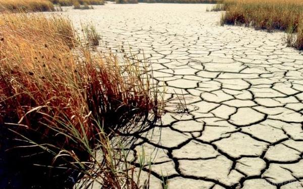 Екологічна катастрофа: прісної води на Землі може не вистачити і на сотню років. Глобальне потепління може істотно ускладнити життя людей вже в найближчі десятиліття. Однією з найбільш критичних ситуацій є те, що вже через сто років людству будуть недоступні необхідні для нього обсяги прісної води.