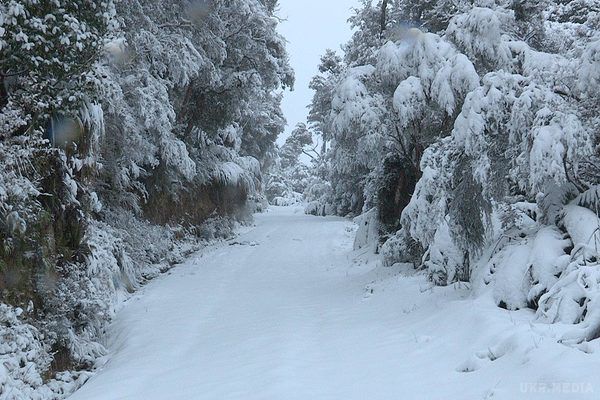 Прогноз погоди в Україні на сьогодні 12 грудня 2016: мокрий сніг, дощ. Хмарна погода протримається увесь день. Нічний дощ до ранку поступово перейде в дощ зі снігом.