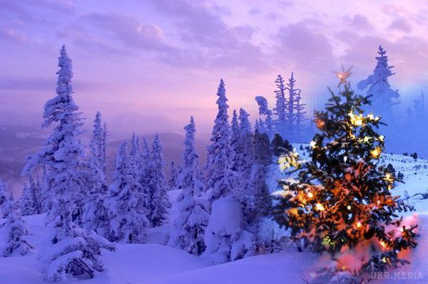 Прогноз погоди в Україні на сьогодні 20 грудня 2016: деяких областях очікуються снігопади. По всій Україні синоптики обіцяють переважно сніг, місцями без опадів.