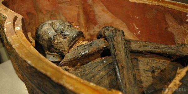 Таємниця стародавніх мумій розкрита - вчені. Вченим з медично-дослідного центру в Сантьяго вдалося розкрити таємницю стародавніх мумій.