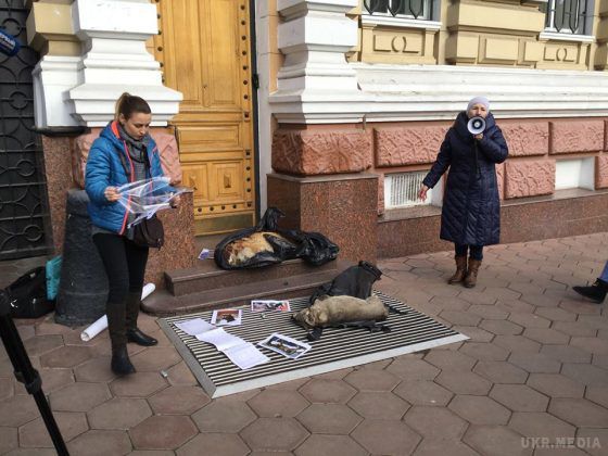 Одеса: Волонтери обклали поліцію трупами собак. Зоозахисники влаштували мітинг на захист вуличних тварин.