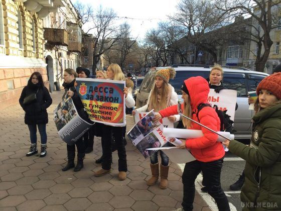 Одеса: Волонтери обклали поліцію трупами собак. Зоозахисники влаштували мітинг на захист вуличних тварин.