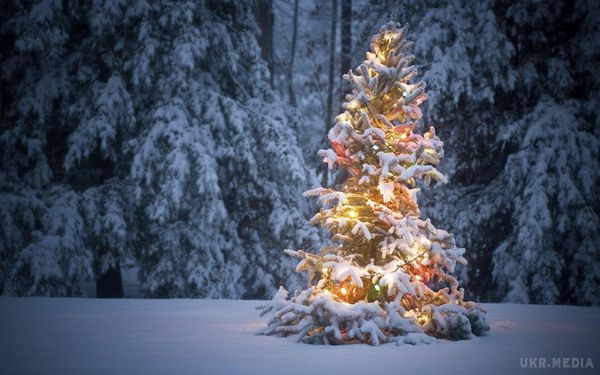 Прогноз погоди в Україні на сьогодні 29 грудня 2016: по всій країні очікується мокрий сніг. З ранку та до самого вечора небо буде приховано за хмарами.