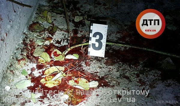 В центрі Києва невідомий розстріляв чоловіка та жінку. Сьогодні, 30 грудня, невідома особа вчинила стрілянину в центрі Києва. В результаті важкі поранення отримали чоловік та жінка, їх було направлено у медичний заклад.