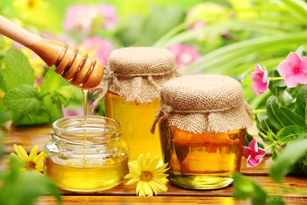 Калорійність меду, його користь і шкода. Ще з давніх років мед вважали воістину смачним і дуже корисним продуктом.