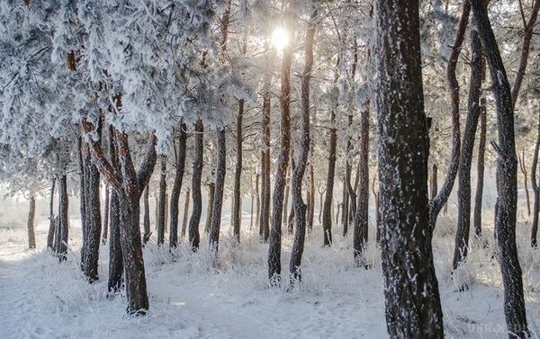Снігопади та хуртовини. Рятувальники попередили про погіршення погодних умов у Київській області. Очікуються сильні снігопади з утворенням снігового покриву висотою 25-30 см