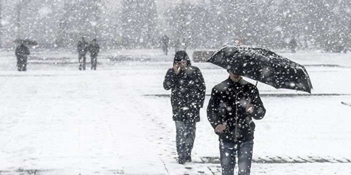 У Москві зафіксували рекордний мороз за останні 130 років (ВІДЕО). Минула ніч у столиці Російської Федерації була найхолоднішою за останні 130 років метеорологічних спостережень.