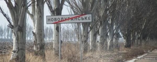 Сіра зона стала українською: Війна не зачепила селище Новолуганське (відео). У селище, що неподалік окупованої Горлівки, не прилетів не один снаряд - кажуть, що це через свиноферму, з якої годуються і терористи.