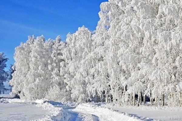Прогноз погоди в Україні на сьогодні 12 січня 2017: очікується сніг, місцями з дощем. По всій Україні синоптики прогнозують сніг, місцями з дощем.