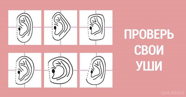 Про що говорять твої вуха?. Вони розкажуть про тебе багато цікавого! 