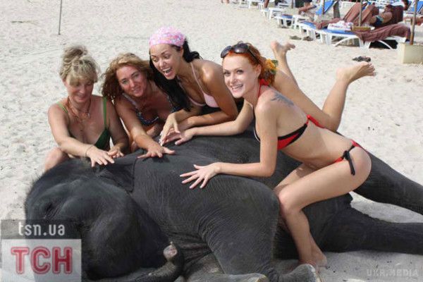 Як двоє слонів приставали до української співачки на відпочинку у Таїланді. Фотографія, як двоє слонів приставали до співачки, потрапила в Instagram Віки з НеАнгелів.