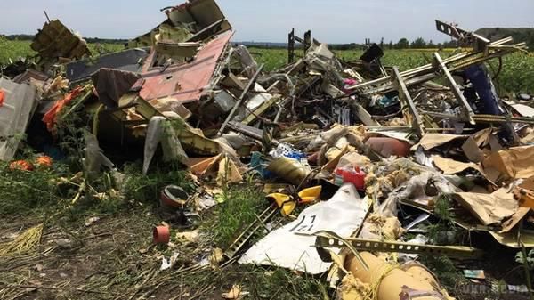 Катастрофа МН17: Родичі загиблих вимагають відновити пошуки на Донбасі. Родичі жертв катастрофи малайзійського Боїнга МН17 вимагають відновити пошуки на сході України.