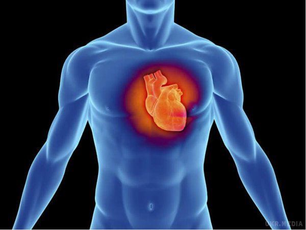 Корисні продукти, які врятують від хвороб серця - фахівці. Якщо ви дбаєте про здоров'я своєї серцево-судинної системи, вам слід обов'язково включити в свій раціон деякі продукти. 