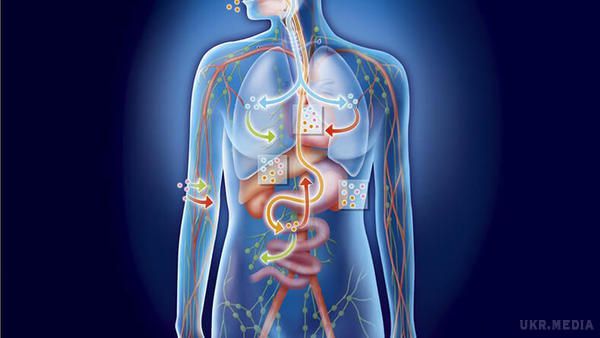 Симптоми закислення організму — це ВАЖЛИВО знати!. Від мозку до шлунка, людський організм являє собою чітко збалансовану систему речовин, бактерій і клітин. 