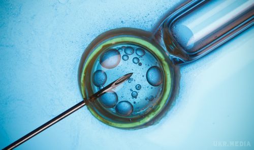 Скоро люди зможуть вибирати зовнішність майбутньої дитини. Гаметогенез «в пробірці», або IVG — це унікальна методика, яка дозволяє вирощувати величезну кількість ембріонів на основі мізерної кількості генетичного матеріалу донора. 
