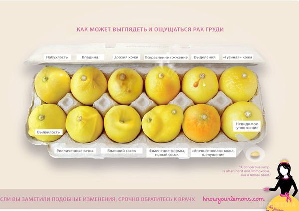 Фото лимонів, яке може коштувати життя: 12 ознак раку грудей. Це фото вже відзначили понад 3 млн осіб і поділилися ним більше 30 тисяч разів.