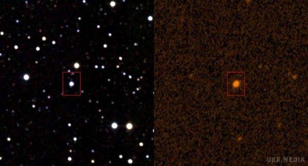 Зірка Таббі спантеличила вчених аномальним затемненням. Блукаюча зірка Таббі(KIC 8462852) у вільному порядку почала затемняться.