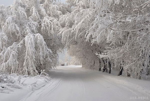 Прогноз погоди в Україні на сьогодні 20 січня 2017: переважно без істотних опадів. По всій Україні синоптики прогнозують без істотних опадів, місцями сніг.