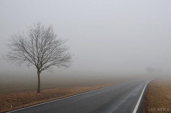 Метеорологи розповіли, як довго протримається незвичне для зими явище. Рятувальники уже більш як тиждень просять бути пильними на дорогах: адже видимість буде обмеженою до 200 -- 500 метрів через густі тумани,