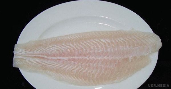 Чому рибу пангасіус категорично не можна вживати в їжу. Риба — необхідний продукт в раціоні людини.