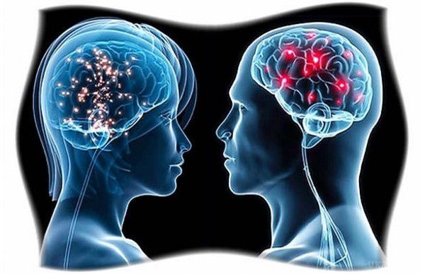Фахівці: У деяких чоловіків є "жіноча" частина мозку. Науковці США висунули незвичайну гіпотезу. Справа в тому, що деякі представники сильної половини мають жіночу частину мозку.