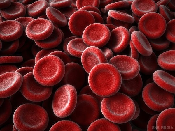 Що потрібно знати про групу крові. У людей група крові має величезний вплив на організм разом з харчуванням і способом життя. Як відомо, існує 4 типи групи крові: I (О), ІІ (А), III ...