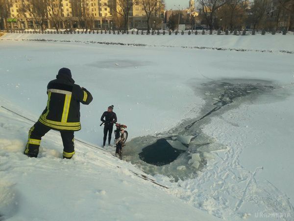 Підбадьорився: в Харкові мотоцикліст-екстримал провалився під лід. Вибратися з ополонки люблячий ризик "пілот" зміг сам, а потім витягнув з води і свого "залізного коня".