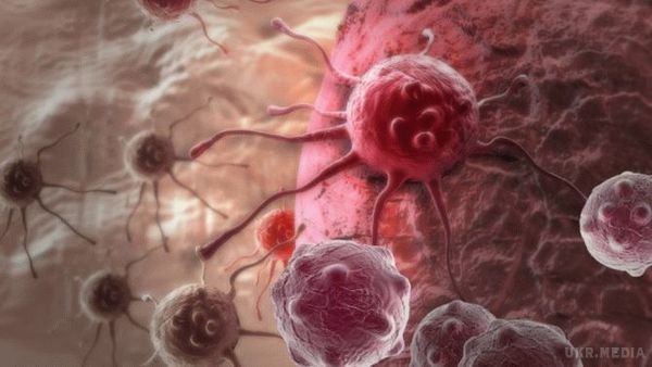 Вчені з'ясували, що допомагає раковим пухлинам рости. Вчені з Інституту Манчестера з'ясували, як клітини з сусідніх здорових тканин допомагають пухлин рости. 
