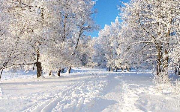  Прогноз погоди в Україні на сьогодні 31 січня 2017: синоптики обіцяють без опадів. По всій Україні синоптики обіцяють без опадів.